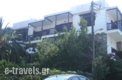 Papatzikos Traditional Guesthouse_s __1