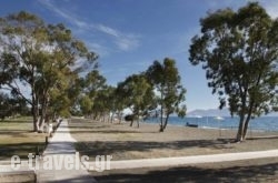 Porto Hydra Village Home_s __2