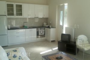 Michelakis Apartments_best deals_Apartment_Crete_Lasithi_Sitia