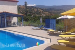 Studios Nikos_best deals_Hotel_Aegean Islands_Lesvos_Kalloni