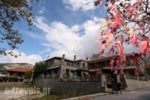 Tradititional Guesthouse Katafygi_best deals_Hotel_Epirus_Arta_Arta City