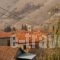 To Petrino Guesthouse_holidays_in_Hotel_Macedonia_Florina_Agios Germanos