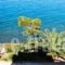 Perdika Mare_best prices_in_Hotel_Piraeus Islands - Trizonia_Aigina_Aigina Rest Areas