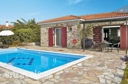 Bouganvillea_s __1
