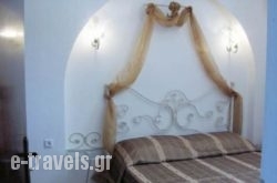Villa Olga_s __1