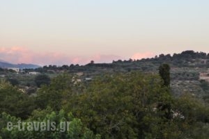 Zouridi Villa Park_lowest prices_in_Villa_Crete_Rethymnon_Rethymnon City
