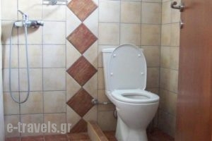 Asterias House_holidays_in_Hotel_Cyclades Islands_Donousa_Donousa Chora