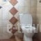 Asterias House_holidays_in_Hotel_Cyclades Islands_Donousa_Donousa Chora