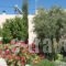 The Old Kafenion B&B_lowest prices_in_Hotel_Crete_Heraklion_Tymbaki