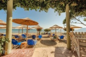 Dafni Villas & Maisonettes_travel_packages_in_Ionian Islands_Zakinthos_Zakinthos Chora