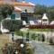 Deliades Villas Alonissos_best deals_Villa_Sporades Islands_Alonnisos_Alonissos Chora