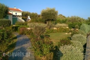 Deliades Villas Alonissos_lowest prices_in_Villa_Sporades Islands_Alonnisos_Alonissos Chora