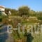 Deliades Villas Alonissos_lowest prices_in_Villa_Sporades Islands_Alonnisos_Alonissos Chora