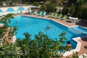 Erietta Studios_accommodation_in_Hotel_Ionian Islands_Kefalonia_Kefalonia'st Areas