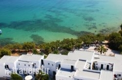 Kalypso Hotel_s __1
