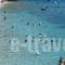 Pharos Rooms_best deals_Room_Central Greece_Fthiotida_Atalanti