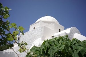 Paraporti_travel_packages_in_Cyclades Islands_Folegandros_Folegandros Chora