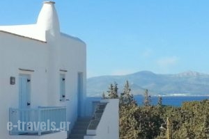 Orion Naxos' L_accommodation_in_Hotel_Cyclades Islands_Paros_Paros Chora