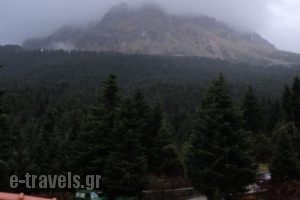 Hotel Tzoumerka_accommodation_in_Hotel_Epirus_Arta_Agnanda