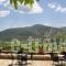 Menalia Villas & Suites_holidays_in_Villa_Peloponesse_Arcadia_Levidi