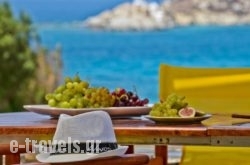 Ydreos Studios & Apartments in Mikri Vigla, Naxos, Cyclades Islands