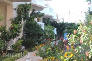 Golden Rose Suites_best prices_in_Hotel_Crete_Chania_Kolympari