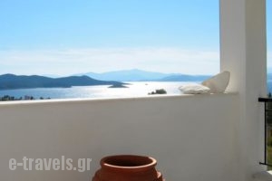 Villa Bellevue_accommodation_in_Villa_Central Greece_Evia_Limni