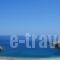 Anastasia Villas_lowest prices_in_Villa_Cyclades Islands_Andros_Andros City