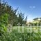Stevalia Hotel & Spa_best deals_Hotel_Thessaly_Magnesia_Portaria