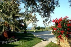 Castri Studios_holidays_in_Apartment_Macedonia_Halkidiki_Nikiti