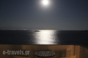 Blue Dolphin_lowest prices_in_Hotel_Cyclades Islands_Antiparos_Antiparos Chora