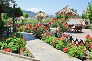 Villa Vicky_holidays_in_Villa_Aegean Islands_Lesvos_Petra
