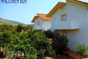 Filoxenia Apartments_best prices_in_Apartment_Dodekanessos Islands_Tilos_Tilos Chora