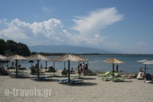 Hotel Vlassis_best prices_in_Hotel_Thessaly_Larisa_Agia