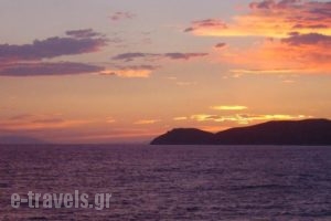 Lysistrata Bungalows_best prices_in_Hotel_Aegean Islands_Thasos_Thasos Chora