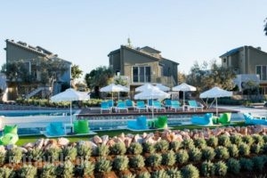 Lavender Cove_best prices_in_Hotel_Peloponesse_Argolida_Archea (Palea) Epidavros