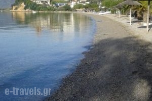 Meltemi_travel_packages_in_Central Greece_Fthiotida_Glyfa
