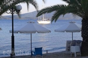 Meltemi_holidays_in_Hotel_Central Greece_Fthiotida_Glyfa