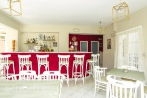 Malia Central Apartments_lowest prices_in_Apartment_Crete_Heraklion_Malia