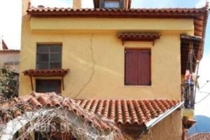 Egarsios Pension_accommodation_in_Hotel_Central Greece_Viotia_Arachova