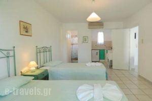 Tzane_holidays_in_Apartment_Cyclades Islands_Paros_Chrysi Akti