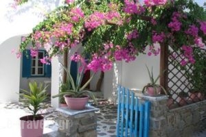 Rocco's Studios_accommodation_in_Room_Cyclades Islands_Antiparos_Antiparos Chora