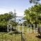 Myrtia Beach House_best deals_Hotel_Crete_Chania_Omalos