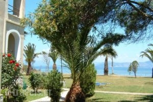 Irini Apartments_lowest prices_in_Apartment_Ionian Islands_Corfu_Lefkimi