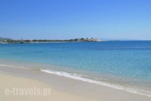 Juliana's House_travel_packages_in_Cyclades Islands_Paros_Paros Chora