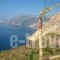 Alex Rooms_best deals_Room_Aegean Islands_Ikaria_Raches