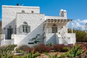 Nikos House_accommodation_in_Hotel_Cyclades Islands_Paros_Paros Chora