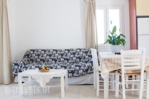 Ocean View Apartment_best deals_Apartment_Cyclades Islands_Paros_Paros Chora