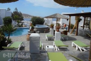La Veranda of Mykonos Traditional Guesthouse_holidays_in_Hotel_Cyclades Islands_Mykonos_Mykonos Chora