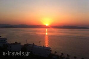 Agistri House_lowest prices_in_Hotel_Piraeus islands - Trizonia_Aigina_Aigina Rest Areas